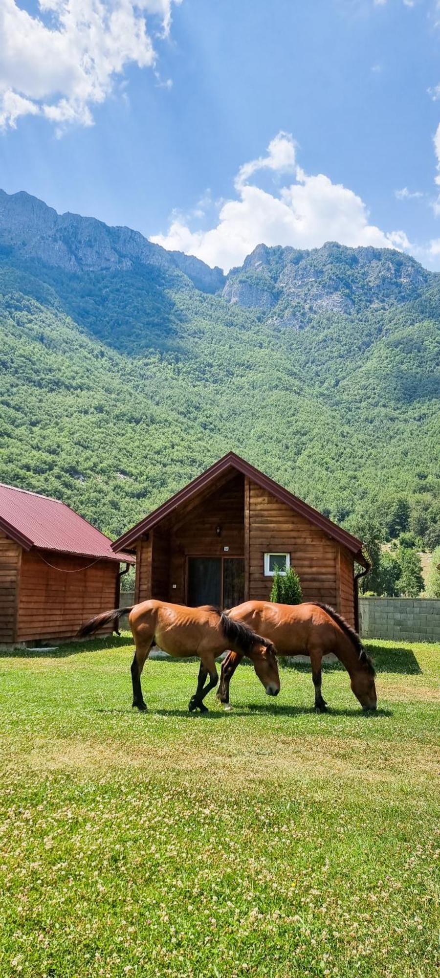 Ethno Katun Rosi Agrotourism Hotel Gusinje Ngoại thất bức ảnh