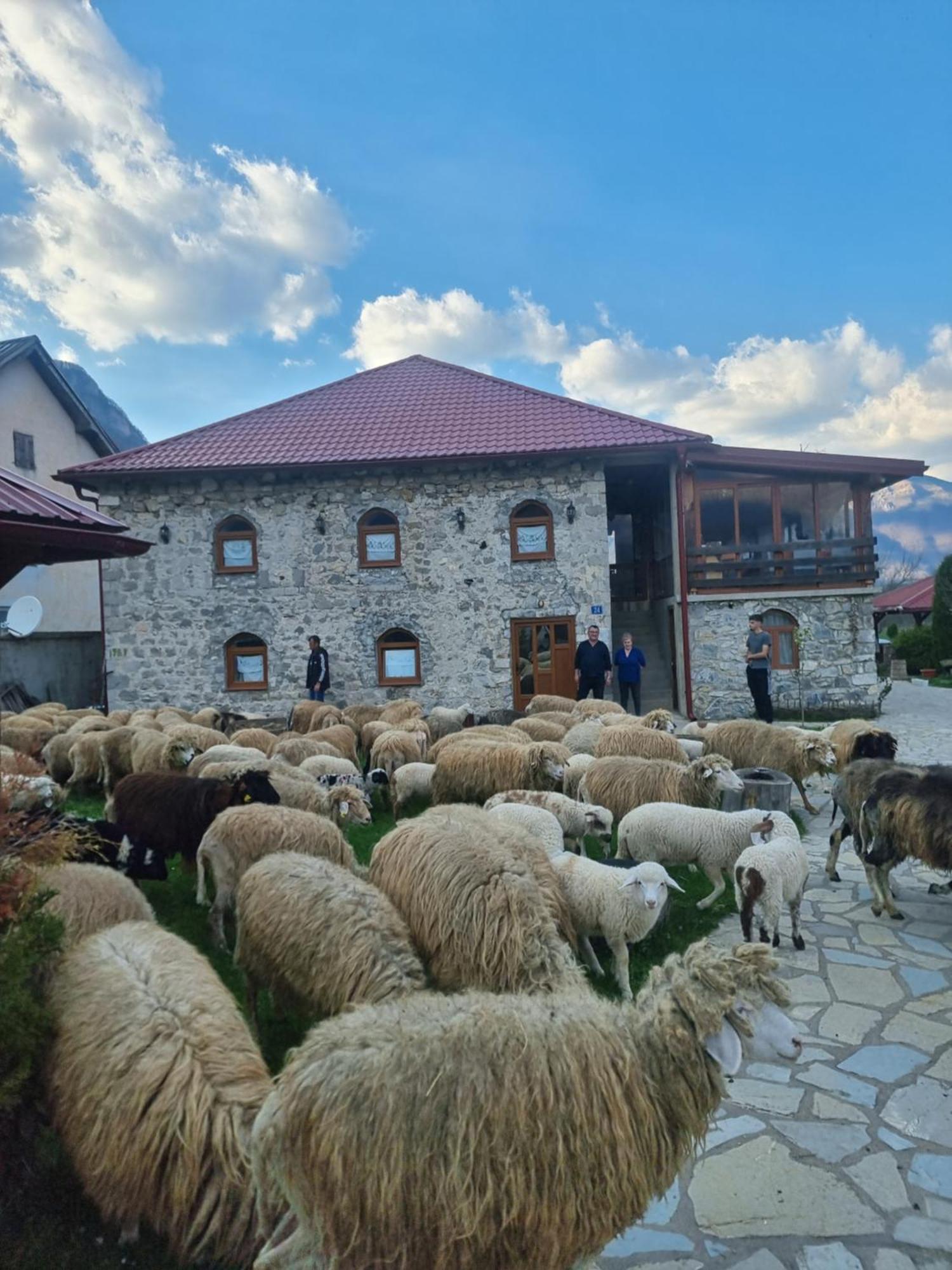 Ethno Katun Rosi Agrotourism Hotel Gusinje Ngoại thất bức ảnh